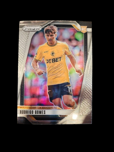 Rodrigo Gomes - Wolverhampton Wanderers Holo